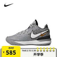 NIKE 耐克 男子ZOOM LEBRON NXXT GEN EP篮球鞋DR8788-900 DR8788-004 43