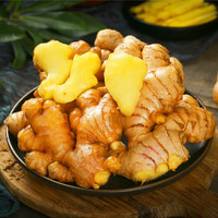 鲜火 云南罗平小黄姜 新鲜蔬菜根茎类现挖现发 火锅食材产地直供 2斤 新鲜带泥发货