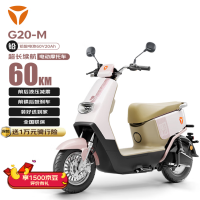 雅迪 G20-M电动车（颜色到店自选）