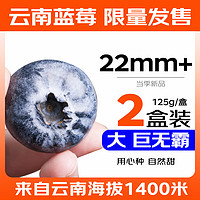 京鲜生 Mr.Seafood 云南蓝莓巨无霸 22mm+ 2盒装 125g/盒 新鲜水果 源头直发 包邮