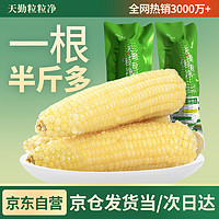 天勤粒粒净 甜糯玉米棒 200g*8只