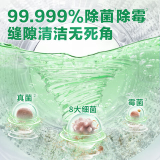 立白 Liby洗衣机清洁剂除菌液260ml*3瓶 洗衣机清洁剂3瓶