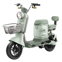 宝岛电动自行车N16超威48V续航70km豪华智能解锁