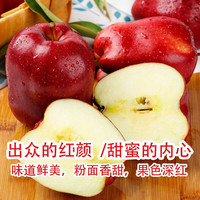 月宵天水花牛苹果整箱新鲜水果当季水果儿童水果红果粉面苹果 3斤 小果【65-70mm】