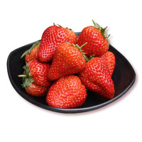 静羽草莓 大凉山草莓红颜99牛奶非丹东草莓水果礼盒 2斤装单果12-15g 净重1.4斤 凌晨采果