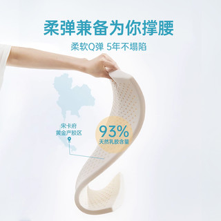  NITTAYA/妮泰雅 护腰 乳胶腰枕  深灰色，深紫色，宝蓝色，巧克力色，深卡其布色，军绿色，深蓝色，天蓝色，桔色，浅灰色，浅黄色，浅绿色