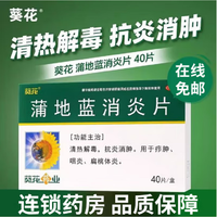  蒲地蓝消炎片 0.24g*40片/盒 2盒装