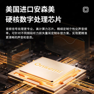 未来客 TECHMI P80 中重度降噪 充电耳背式助听器