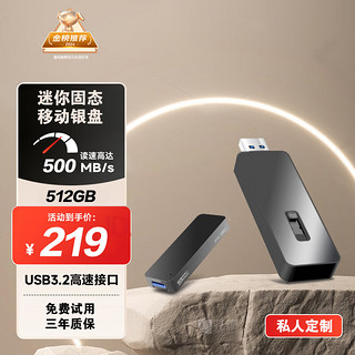 赛帝曼克 STmagic STP31 ADC版 USB 3.1 移动固态硬盘 USB-A 512GB 黑色