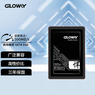 悍将系列 SATA 固态硬盘 512GB（SATA3.0）