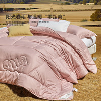 水星家纺 100%羊毛被 A类标准澳洲进口阳光卷毛 四季可用秋冬加厚被子被芯