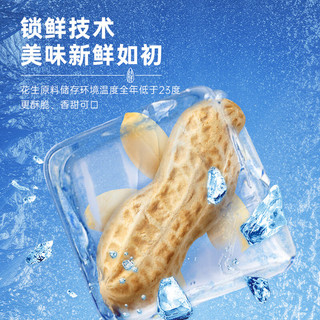 薛记炒货麻辣花生米210g 五香花生米坚果炒货休闲零食小吃下酒菜 五香味花生米210克*2袋