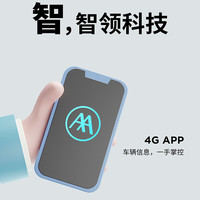爱玛（AIMA）骁龙新国标豪华时尚成人电瓶车电动自行车车 到店选色提货