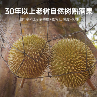 满范源猫山王榴莲d197马来西亚进口液氮冷冻树熟新鲜整果礼盒送礼物 3.0-3.4斤【A级优选果】保3房
