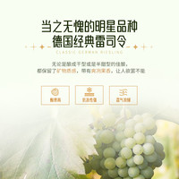 德国半甜白葡萄酒雷司令白葡萄酒配香槟酒杯750ml