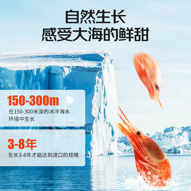 鲜拔头筹 北极甜虾 2kg（净重）