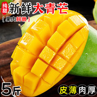 庾丰广西芒果现摘孕妇新鲜水果 热带整箱 金煌 当季大青芒含箱 净重9斤 单果约200g+
