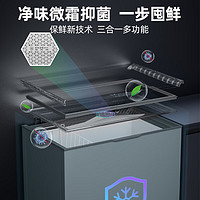 星星 XINGX 200升微霜冰柜零下30℃单温卧式冷柜家商用顶开门