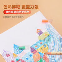 宝克(BAOKE)勾线笔防水不易褪色专业绘画素描大容量绘图笔 记号笔学生儿童礼物 1.0mm子弹头 MP2954-12G 丙烯彩绘勾线笔(12色装)