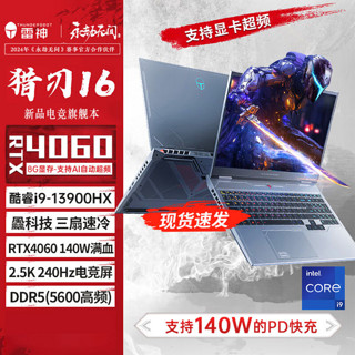 雷神 猎刃16 十三代酷睿版 16英寸 游戏本 灰色（酷睿i9-13900HX、RTX 4060 8G、16GB、1TB SSD、2.5K、IPS、240Hz）