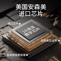 申瑞(SHENRUI)助听器老年人中重度充电款数字16通道助听器耳背式E-516单耳