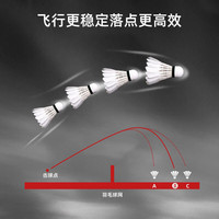 李宁 LI-NING羽毛球稳定耐打训练省队比赛用球飞行平稳落点稳定 室内外12只装 AYQR034 D1(77速 12只装) 1筒