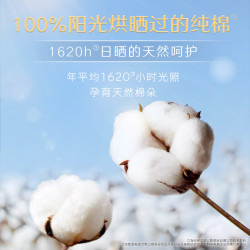 高洁丝 极薄 女士卫生巾
