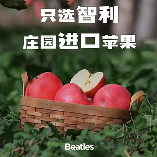 比逗仕 有机婴幼儿果泥 奇异果草莓苹果泥90g*5袋