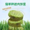 猫草生骨肉饼去增排磨毛肥洁发齿腮牙泪痕猫咪零食成幼小猫咪拌粮