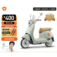 雅迪 新一代冠能 Q50-M 标准版电动车（颜色到店自选）