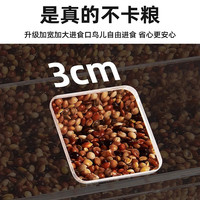 YEE 鹦鹉自动喂食器食盒防撒防溅下料饲料盒喂鸟器玄凤虎皮饮喂用品 免拼装-中号-亚克力喂食器