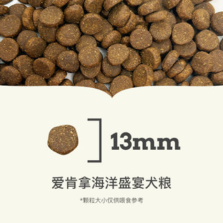 爱肯拿 海洋盛宴狗粮