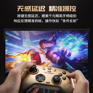 GameSir 盖世小鸡 启明星2无线游戏手柄 小孩冠军版+接收器