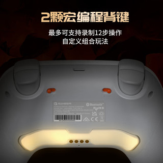 GameSir 盖世小鸡 启明星2无线游戏手柄 小孩冠军版+接收器