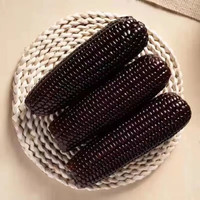 移动端、京东百亿补贴：馋半仙 23年新东北甜糯香玉米10支 鲜嫩真空苞米棒 （单支220-260g）