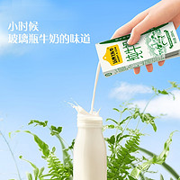 认养一头牛 纯牛奶 200ml*12盒