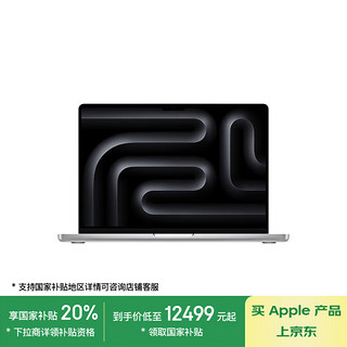 苹果 Apple MacBook Pro 2024款 M4版 14英寸 轻薄本 银色（M4 10+10核、16GB、1TB SSD、3024x1964、LED、120Hz）