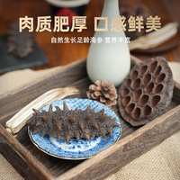 颐口福大连即食海参野生底播9A海参礼盒过年源头直发特产元宵 特大即食海参5斤（4-10头/斤）