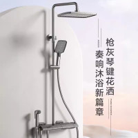 箭牌 ARROW AE34129ZHGG 四功能琴键花洒套装 冷热款 枪灰色