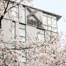 暑期全程不加价！京都核心位置，近河原町站！京都十字酒店 标准双床房 1 晚 + 最多可携带1名0-5岁儿童和成人使用共有床铺 1 份