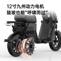 粤池久深远12寸GT1运动版白色新国标电动自行车男女外卖通勤超长续航代步车可提锂电磷酸铁锂电瓶车联名 国标约50KM48V24AH6色可选
