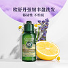 88VIP：L'OCCITANE 欧舒丹 强韧洗发水75ml*5瓶丰盈蓬松强劲发丝