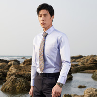 雅戈尔（YOUNGOR）长袖衬衫男素色DP免烫衬衫全棉面料舒适透气抗皱易打理新品