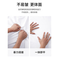 Navigare意大利小帆船短袖T恤衫男24新款抗菌夏装弹力休闲体恤圆领打底衫 漂白 XL /52