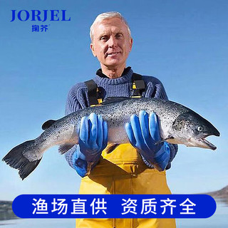 掬芥挪威冰鲜三文鱼  源头直发