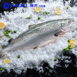 掬芥 挪威冰鲜三文鱼 整条12-14斤净重 源头直发 冰鲜三文鱼整条  6kg