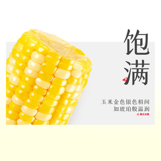 柴火大院水果玉米段10段开袋即食甜玉米新鲜1kg真空装店