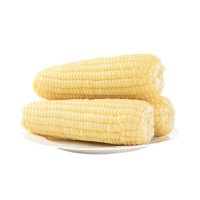 笨恰恰 东北白糯玉米 280g*10根