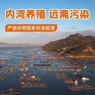 三都港 宁德海捕小黄鱼350g/包【约8-11只】新鲜冷冻海鲜生鲜烧烤食材鱼 海捕小黄鱼350g*1包 海捕小黄鱼350克