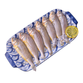 三都港 宁德海捕小黄鱼350g/包【约8-11只】新鲜冷冻海鲜生鲜烧烤食材鱼 海捕小黄鱼350g*1包 海捕小黄鱼350克